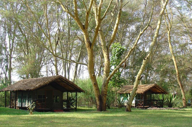 Migunga Tented Camp Mto wa Mbu ภายนอก รูปภาพ