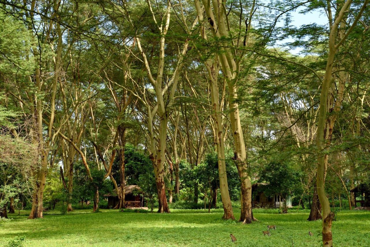 Migunga Tented Camp Mto wa Mbu ภายนอก รูปภาพ