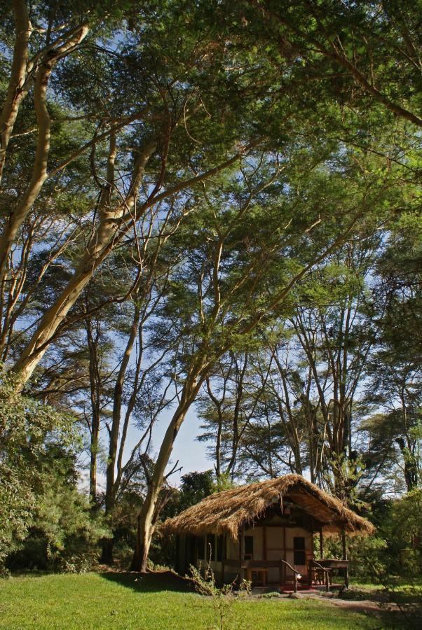 Migunga Tented Camp Mto wa Mbu ภายนอก รูปภาพ