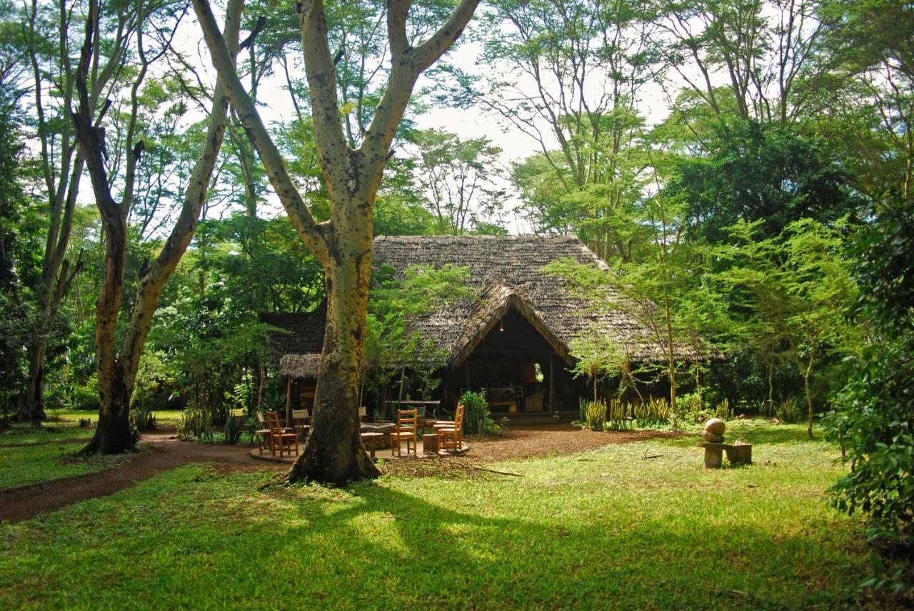 Migunga Tented Camp Mto wa Mbu ภายนอก รูปภาพ